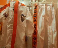 Taekwondo Suit