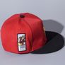 Snap Back Cap - Iron Man - Free Shipping Image 2