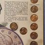USA United States Lincoln Wheat Penny Cents and Memorial Pennys Framed Beautifly Presented Image 3