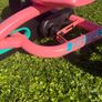 Berg Buddy Go Cart Image 6