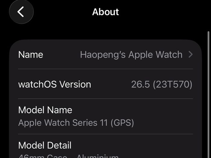 Apple Watch S11 46mm Gps