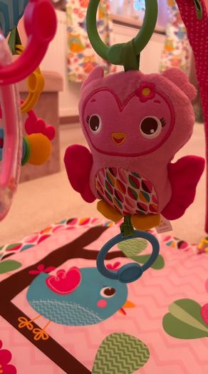 Bright Starts Baby Girl Play Mat