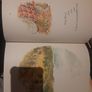 The Further Tale of Peter Rabbit Image 2