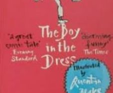 David Walliams ; The Boy in the Dress (pr4147)  2