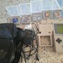 Game boy & 5 games Image 3