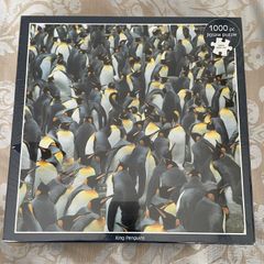 King Penguins - 1000 Piece - Jigsaw Puzzle - New