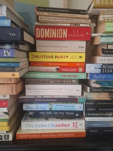 large collection of books