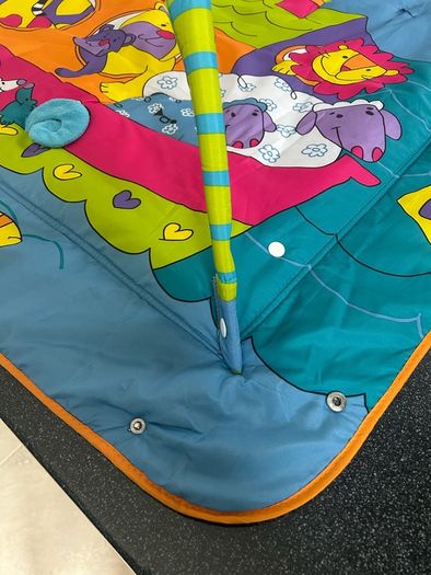 Baby Activity Playmat