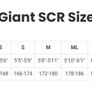 Giant SCR 4.0 bike (size S) Image 2