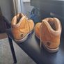 timberland Image 3