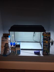 Fish Tank