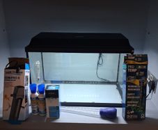 Fish Tank