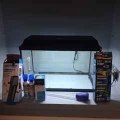 Fish Tank