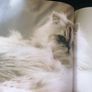 Cats: The Ultimate Cat Lover's Guide Image 5