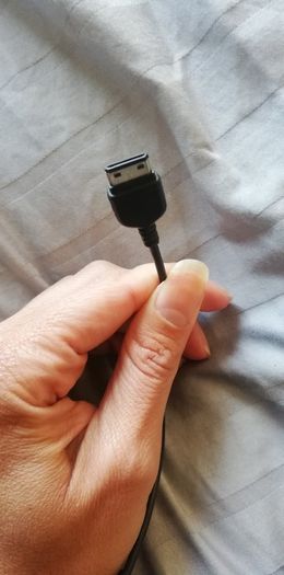 Samsung charger and  earphones