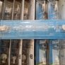 10 New Philips Plusline ES Bulbs Image 2