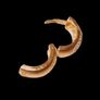 Vintage Hallmarked Yellow Gold Diamond Ear Cuff Image 6