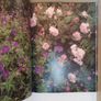 The gardener's guide to growing hardy geraniums by Trevor Bath & Joy Jones (Out-Of-Print) Image 3