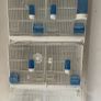 bird cages Image 3