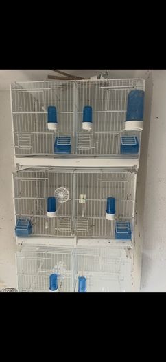bird cages