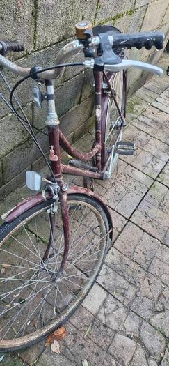 bikes