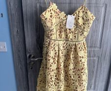 BNWT Cari's Closet Dress