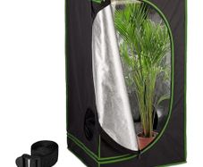 Grow tent and light
