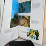 The Illustrated Library of Nature: A Pictorial Encyclopedia of Natural History and Ecology Published by H. S. Stuttman (14 Volumes) Image 6