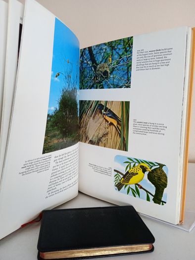 The Illustrated Library of Nature: A Pictorial Encyclopedia of Natural History and Ecology Published by H. S. Stuttman (14 Volumes)