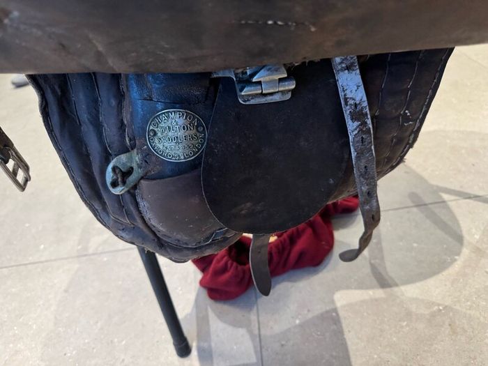 Side Saddle Champion Wilton