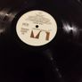 Don McLean Playin' Favorites lp Image 3