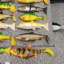 fishing lures Image 3