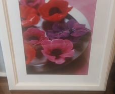 selection of framed prints