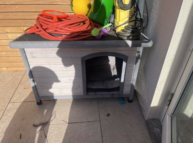 Dog house