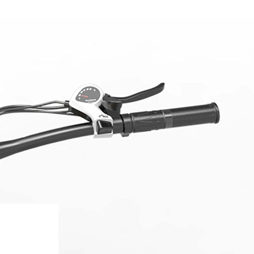 Lankeleisi Xf4000 Electric Bike