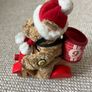 Snooty Nours Teddy Bear Image 2