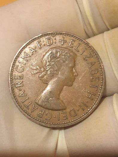 Elizabeth Penny x20 Pictures