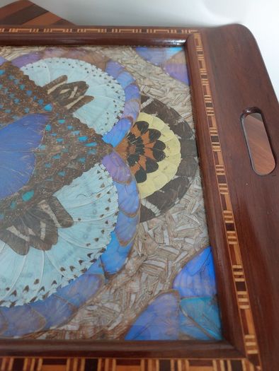 Vintage Brazilian Inlaid Iridescent Morpho Butterfly Wing Hardwood Tray