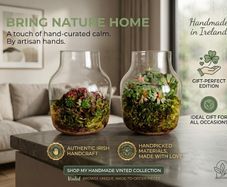 Handcrafted Irish Terrarium Trio | Unique Glass & Succulent Home Decor