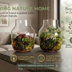 Handcrafted Irish Terrarium Trio | Unique Glass & Succulent Home Decor