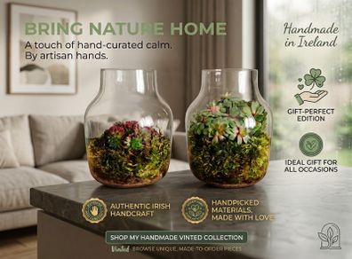 Handcrafted Irish Terrarium Trio | Unique Glass & Succulent Home Decor