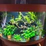 fish tank set up Image 2