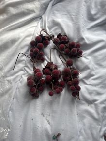 Christmas Picks