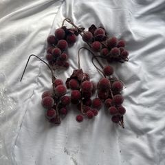 Christmas Picks