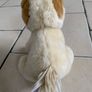 Gund Teddy Boo Image 4
