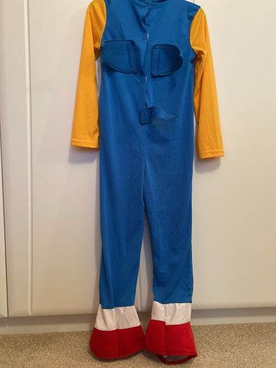 Sonic the Hedgehog costume