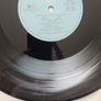 Steve Earle 2LP - Shut Up And Die Like An Aviator Image 5