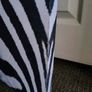 zebra large canvas picture decor Image 4