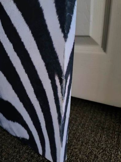 zebra large canvas picture decor