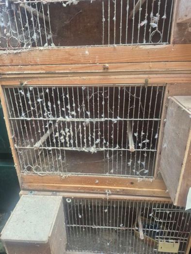 Single breeding cages